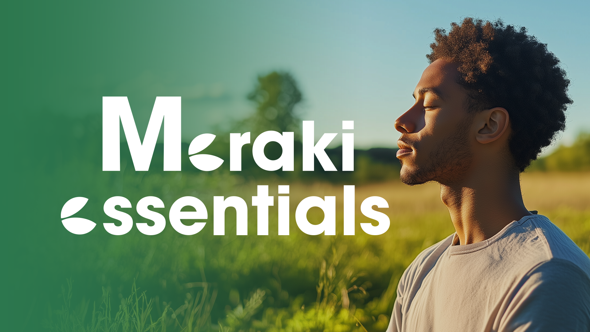 Meraki Essentials